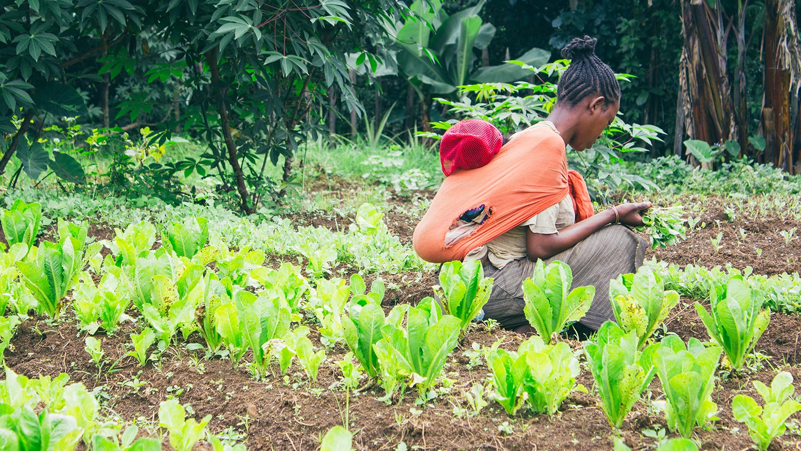 Las multinacionales de la alimentación causan estragos en el tercer mundo